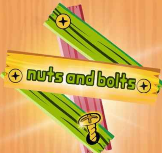 Nuts and Bolts Puzzle